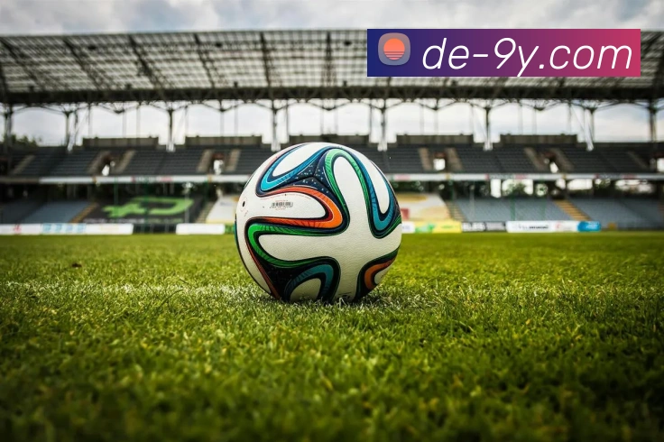 九游官网平台生态图